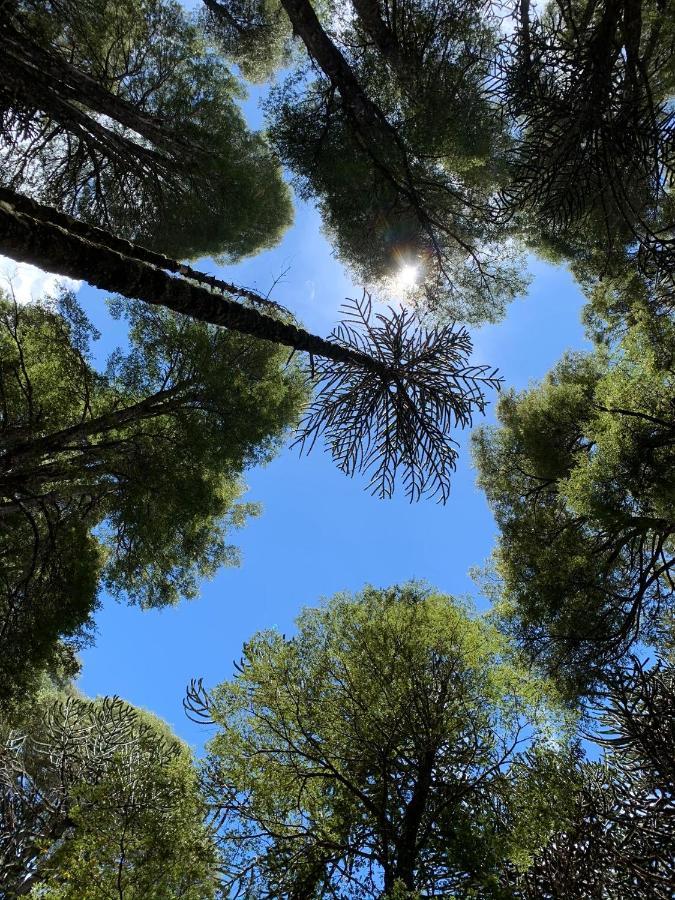 Domo Conguillio Conecta Con Tu Energia Sagrada Junto Al Salto Truful Truful Con Una Vista Majestuosa Que Podras Disfrutar En Una Tinaja Una Experiencia Que Alineara Tu Espiritu Y Tu Energia Interior Vivelo メリペウコ エクステリア 写真