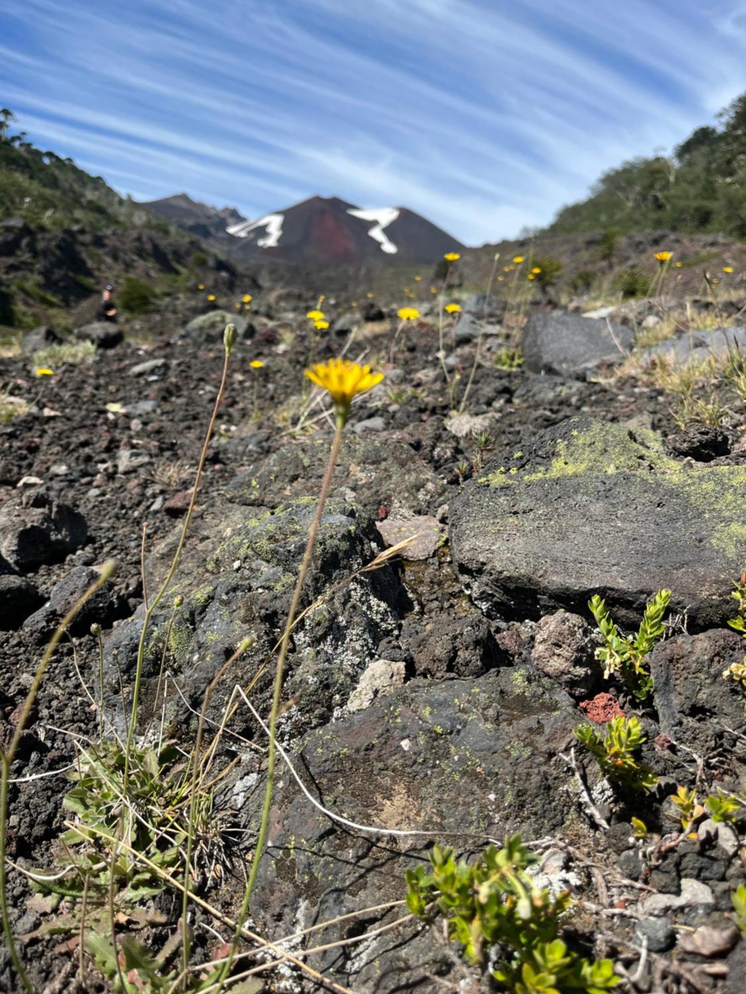 Domo Conguillio Conecta Con Tu Energia Sagrada Junto Al Salto Truful Truful Con Una Vista Majestuosa Que Podras Disfrutar En Una Tinaja Una Experiencia Que Alineara Tu Espiritu Y Tu Energia Interior Vivelo メリペウコ エクステリア 写真
