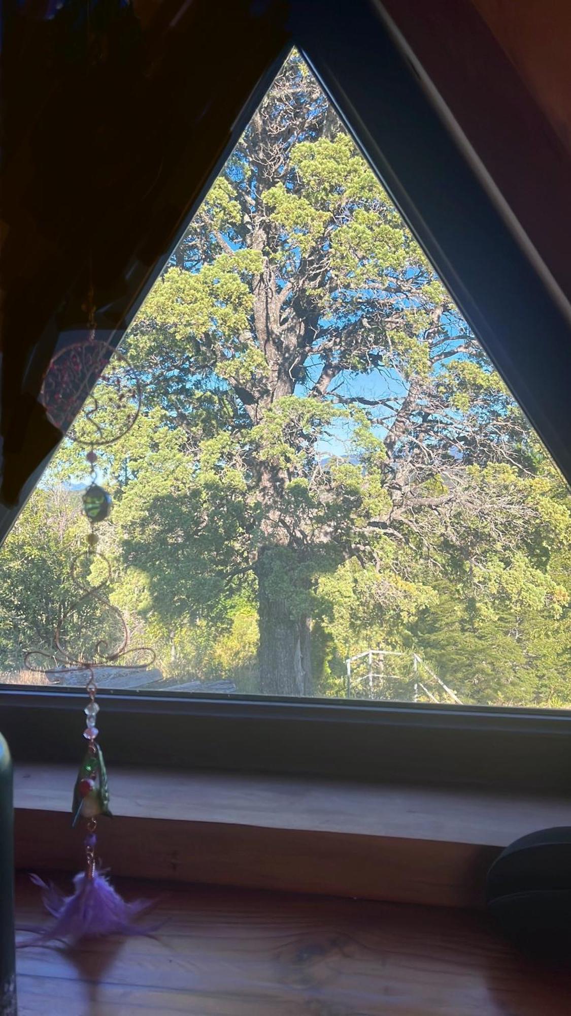Domo Conguillio Conecta Con Tu Energia Sagrada Junto Al Salto Truful Truful Con Una Vista Majestuosa Que Podras Disfrutar En Una Tinaja Una Experiencia Que Alineara Tu Espiritu Y Tu Energia Interior Vivelo メリペウコ エクステリア 写真